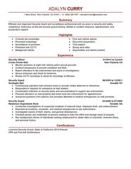 Security Guard Resume Examples Created By Pros MyPerfectResume