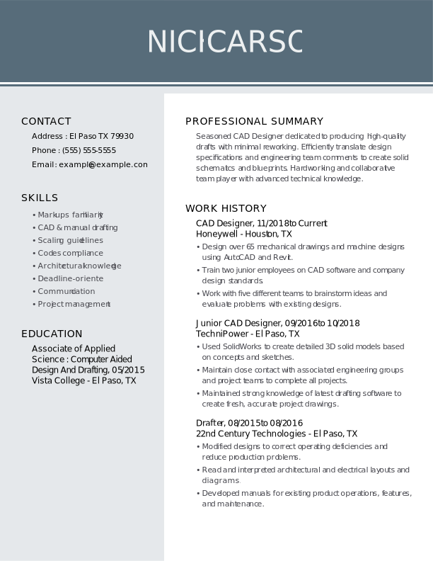 CAD Designer Resume Examples & Tips