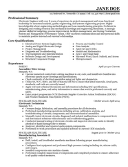 Electronic Resume Example 111rob