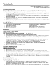 Professional Senior Engineer Resume Example