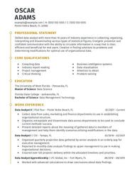 Data Analyst CV Example For Jobs Tips Guide