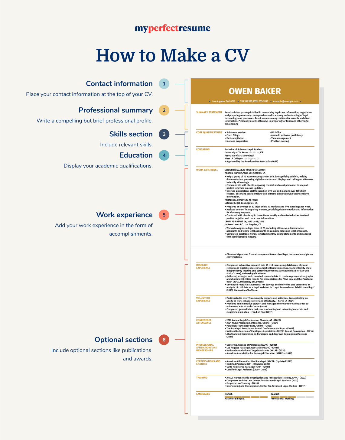 How to Write a CV for Career, Education & Networking [2024]