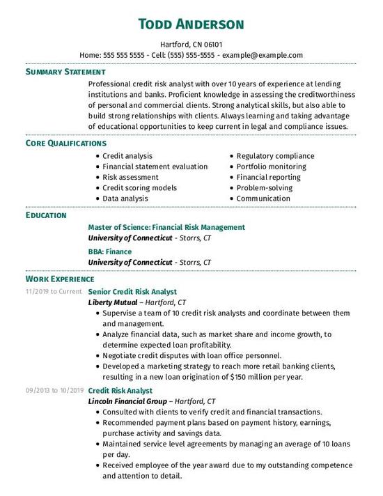 Credit Risk Analyst CV Examples & Templates