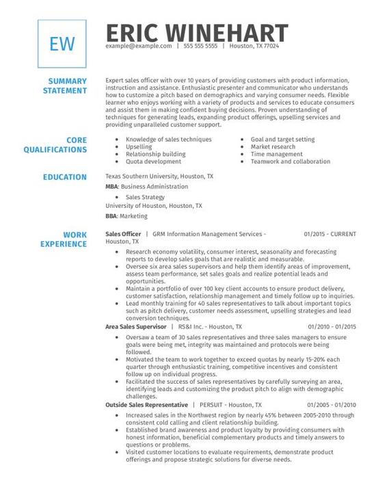 Sales Officer CV Examples & Templates