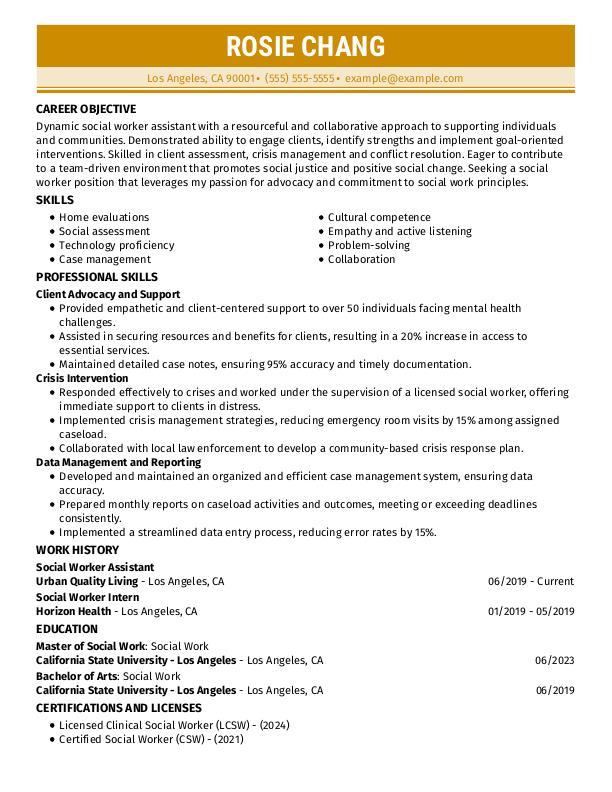 Social Worker Resume Example