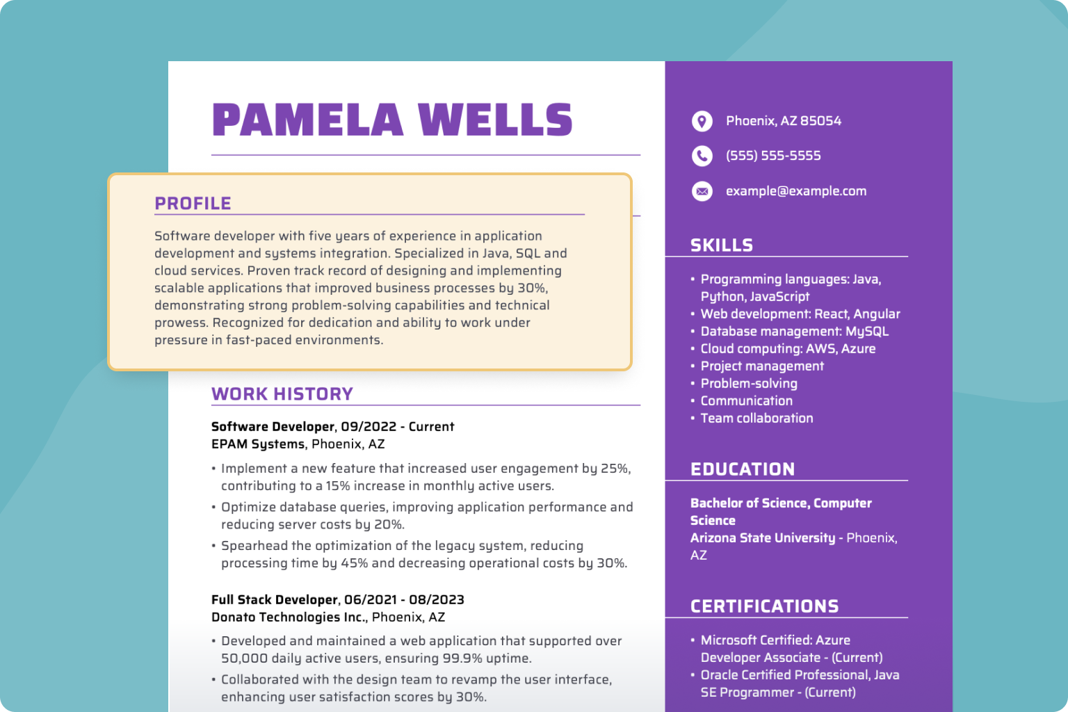 17 Resume Profile Examples amp Tips - Resume Profile Example 