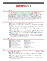 Professional Senior Vice President Client Operations Templates To 